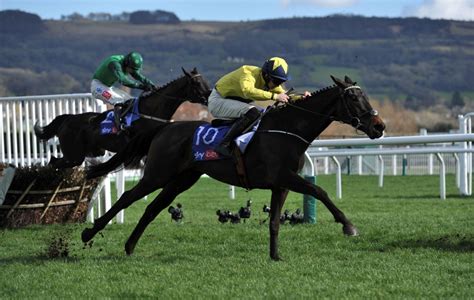 coral non runner no bet|Cheltenham Festival: What bookmakers are non.